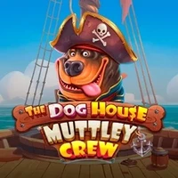 Dog House Dog House